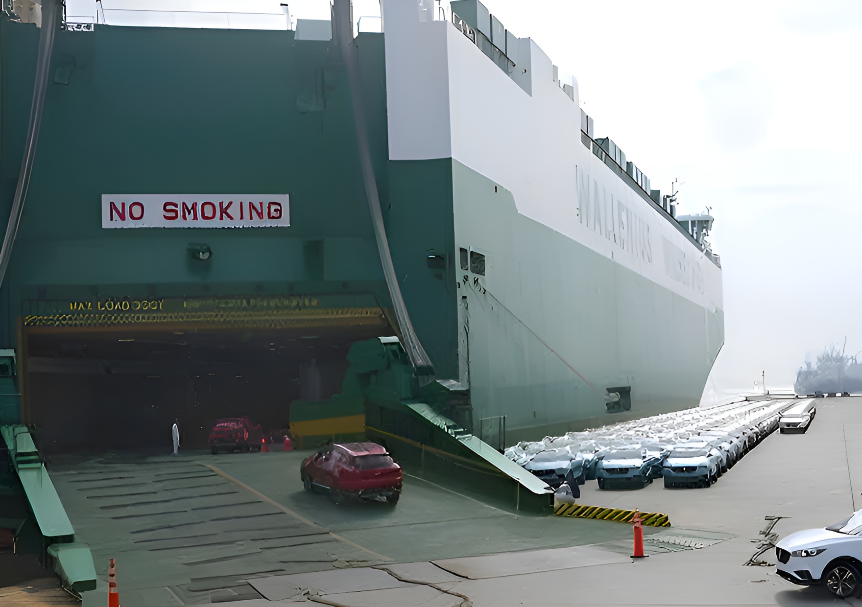 BreakBulk and RORO Service